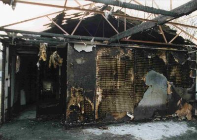 Pavilion Fire 1994